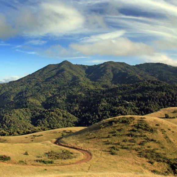 Meet your Posher, Chris - Picture 1 of 1